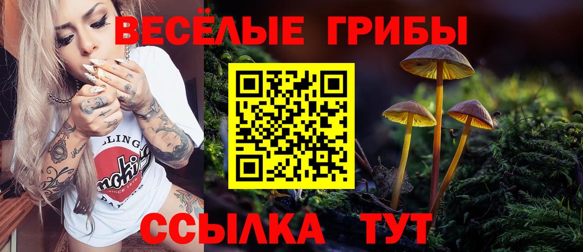 Псилоцибиновые грибы Psilocybine cubensis Сланцы
